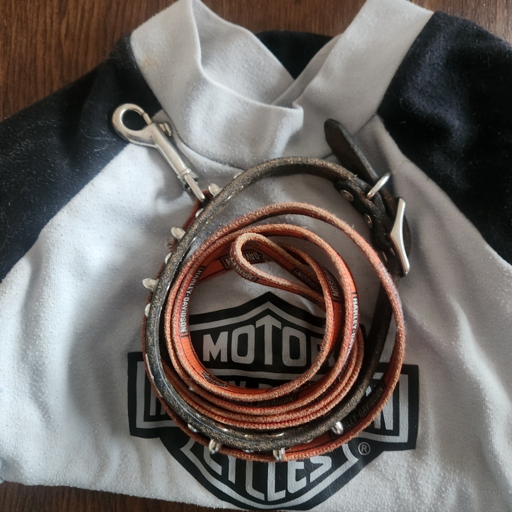 Harley-Davidson Bundle - Picture 7 of 10
